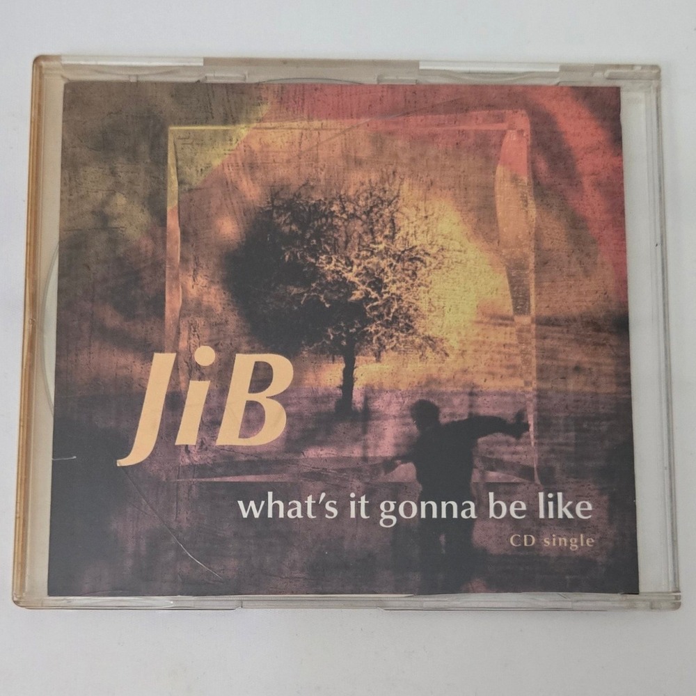 Vintage 1998 JIB Jason Ingram Band Whats It Gonna Be Like Radio Promo CD Single